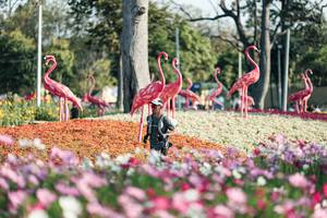 BIB: 
                            <button type="button" onclick="openModal(27344308)" class="btn btn-primary btn-sm float-right btn-popup" data-toggle="modal" data-target=".modal-high-quality">
                        <i class="fas fa-shopping-cart"></i> Add to Cart
                    </button>
                                            <button type="button" onclick="isThisMe(27344308, true)" class="btn btn-success btn-sm float-right btn-popup btn-isme hidden" data-toggle="tooltip" data-placement="bottom" title="นี่คือรูปของคุณใช่ไหม คลิกที่นี่เพื่อเอาเข้าอัลบั้ม">
                        <i class="fas fa-plus"></i> Add to album
                    </button>
                    <button type="button" onclick="isThisMe(27344308, false)" class="btn btn-warning btn-sm float-right btn-popup btn-isnotme hidden">
                        <i class="fas fa-ban"></i> Remove from album
                    </button>